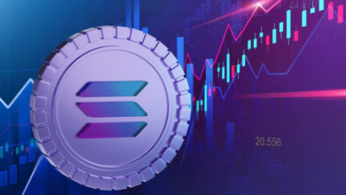 Blum Coin Price Prediction: Will It Reach New Highs This Year?