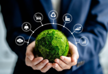 Sustainability Consulting in Australia: Moving from Compliance to Competitive Advantage