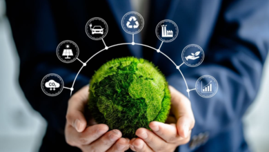 Sustainability Consulting in Australia: Moving from Compliance to Competitive Advantage