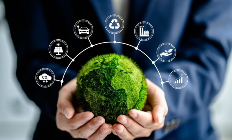 Sustainability Consulting in Australia: Moving from Compliance to Competitive Advantage