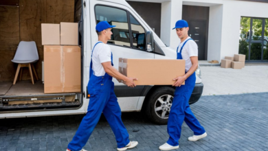 Secure Steps and High Standards: Making Safe Moving of Furniture and Appliances Easier