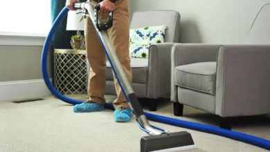Clean Carpets
