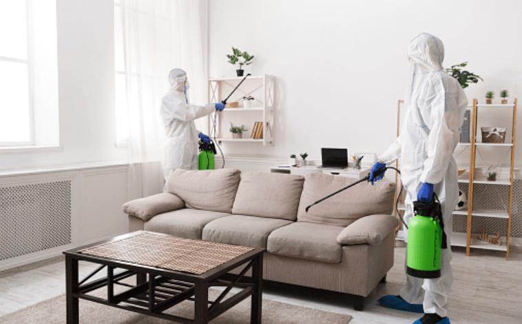 Disinfection Specialist