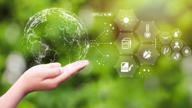 The Essential Role of Risk Assessment in Sustainable Practices With Cadra