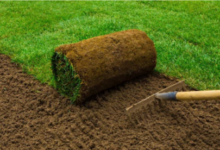 The Battle of Turf: Artificial vs Natural Grass