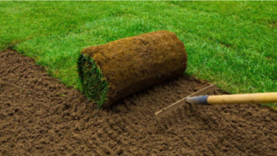 The Battle of Turf: Artificial vs Natural Grass