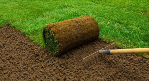 The Battle of Turf: Artificial vs Natural Grass