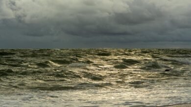 horizon surge revenue beam