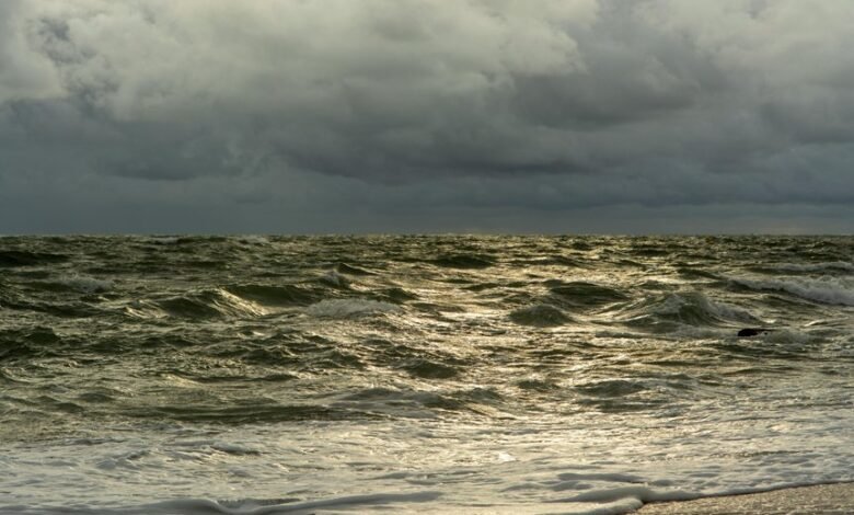 horizon surge revenue beam