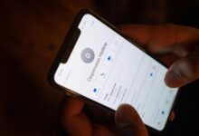 official corporate support number