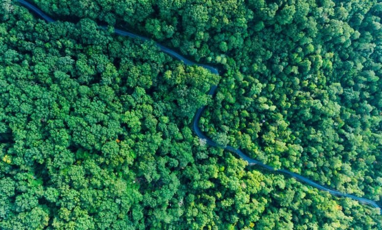 stellar growth curve analysis